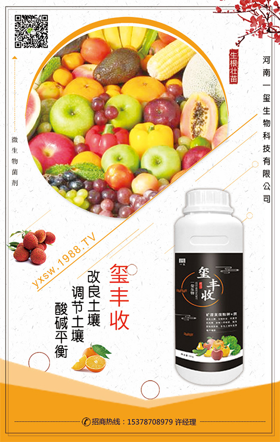 ���Ĳ�ʲô�r(sh��)�g���ࣿ���Ĳ˵�����Ҫ�c(di��n)��