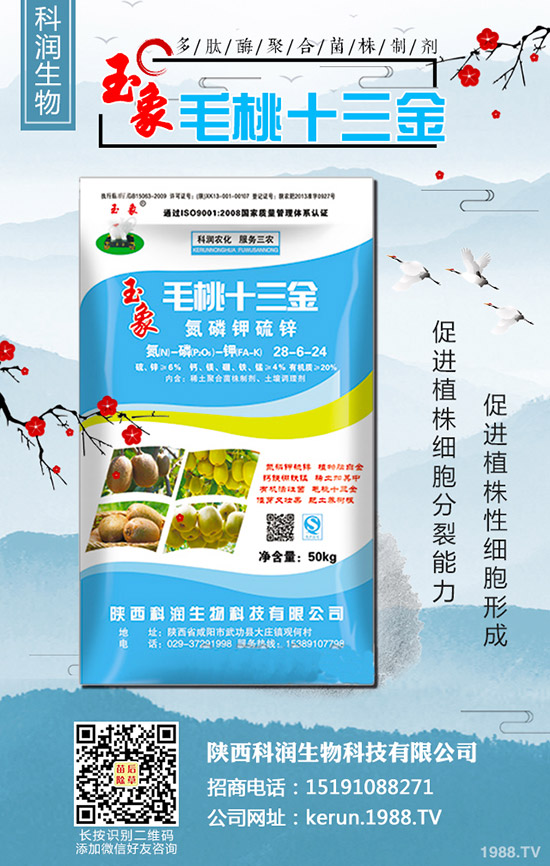     ���裺�����B�m(x��)�q�r(ji��)�����L(f��ng)�U(xi��n)�����2020-3-13��������(b��o)�r(ji��)��