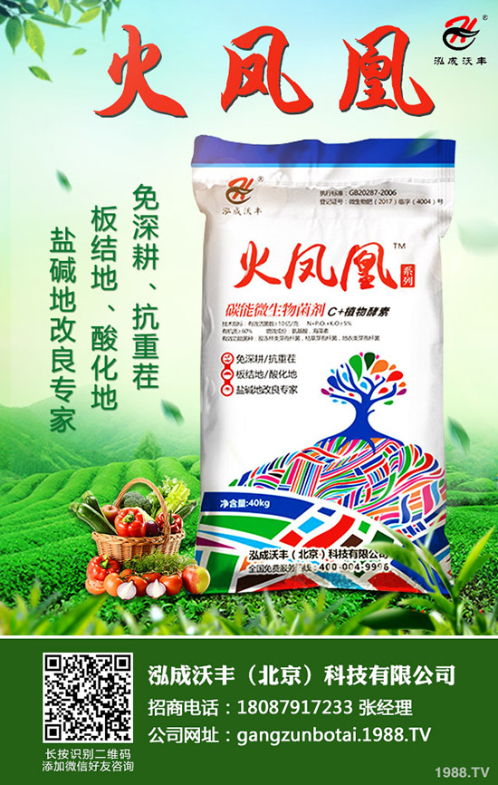 ��Ҋ�������ɺ��x����Щ���������ɺ��x���������