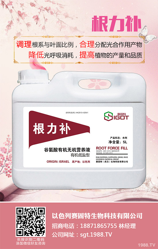 С��������Ҋ(ji��n)�Ĳ�������Щ��ԓ��η���������С���������η�����B