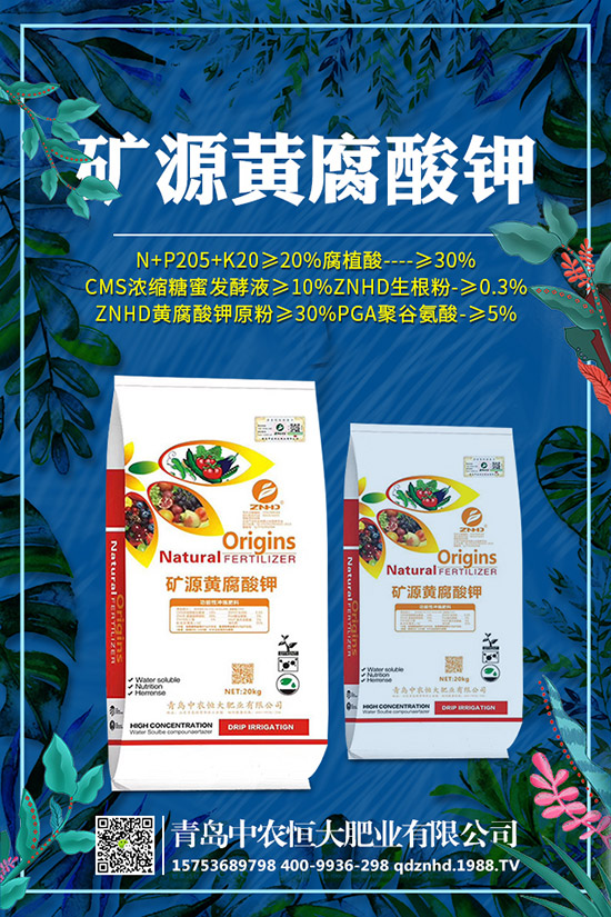 �紺���˷Nֲ���g����Щ�����g����Ҫע��ʲô��