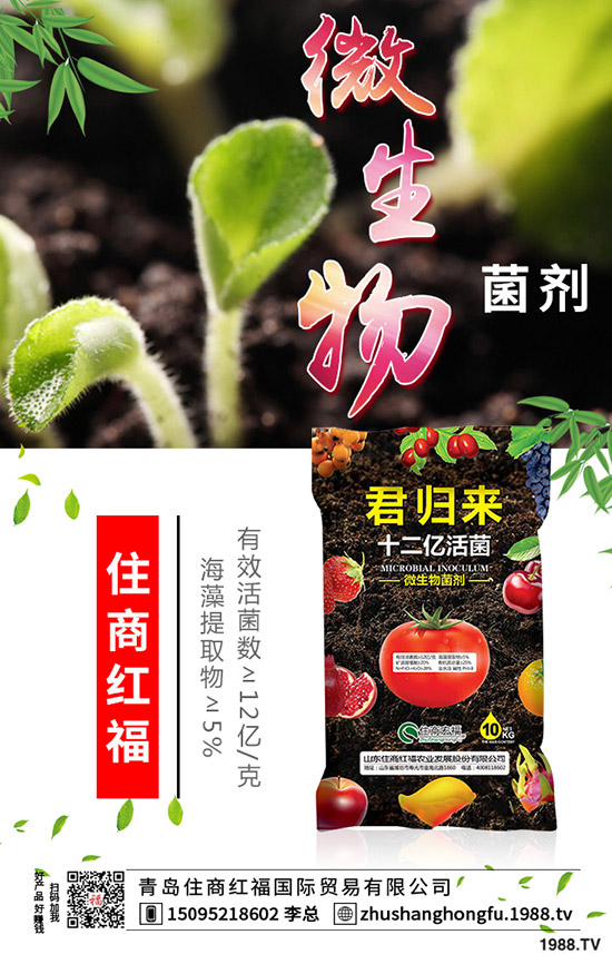 番茄肥害的典型癥狀有哪些，番茄發(fā)生肥害怎么辦？
