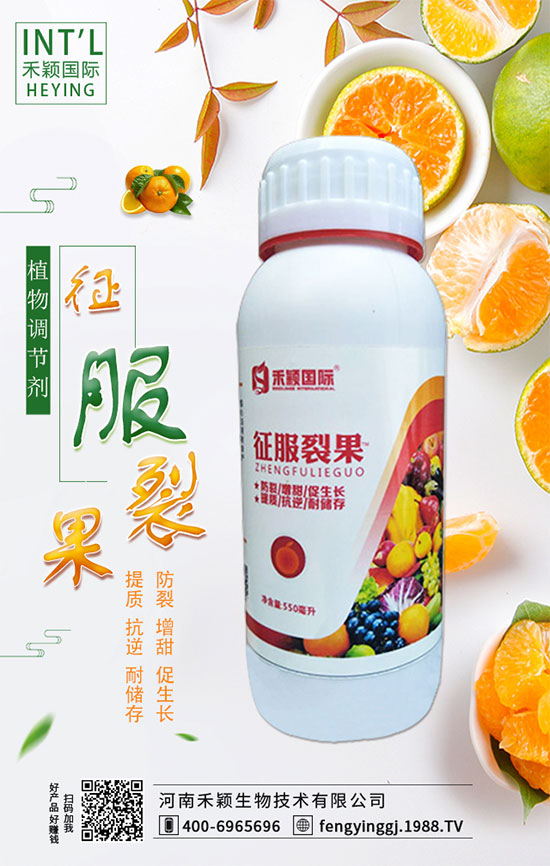 柑橘什么時(shí)間適宜栽種？柑橘肥水管理有哪些？