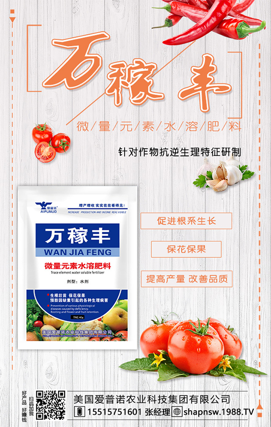 茶葉是什么時候種植的？茶葉的市場前景及種植效益！