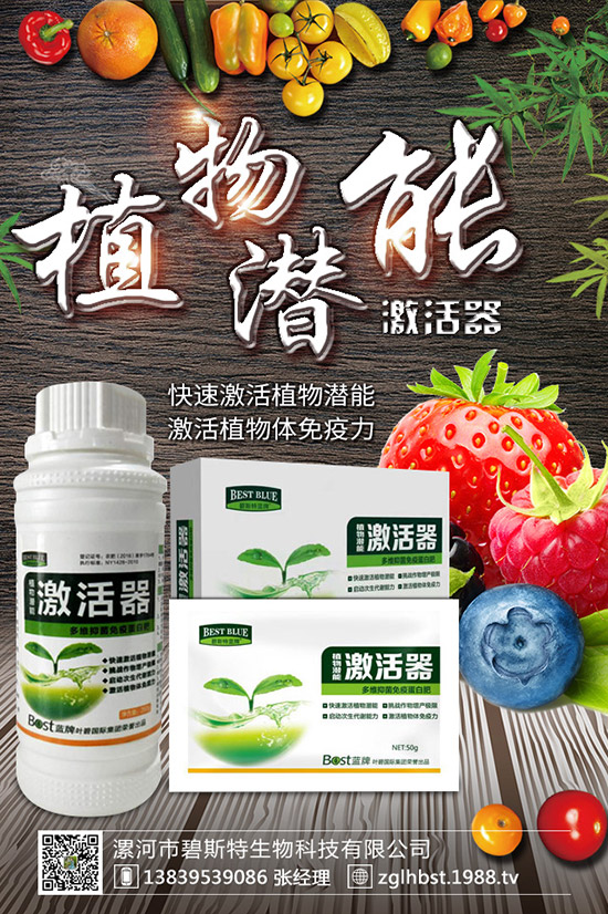 天麻怎么種成活率高?天麻什么時(shí)候種植更好?