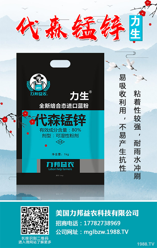     ���z�䚢�����r(ji��)��