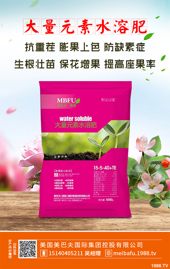 春季花椒樹(shù)常見(jiàn)的病蟲(chóng)害有哪些？該如何防治？花椒病害的發(fā)生與防治