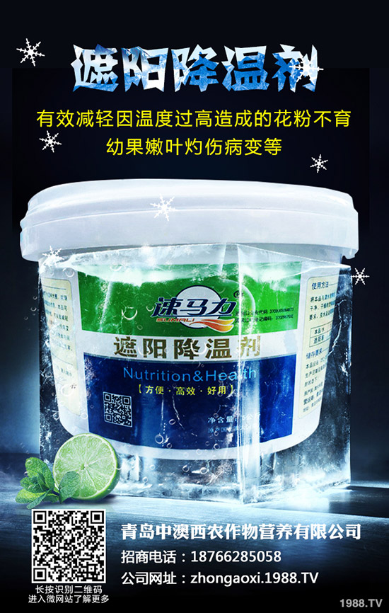 ��Ʒ�|(zh��)��Ҭ����ôʩ�����������@���c(di��n)��