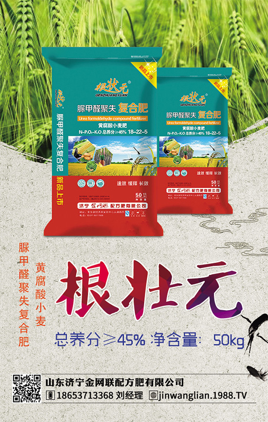 露地茄子該如何種植?茄子春季種植管理技術要點