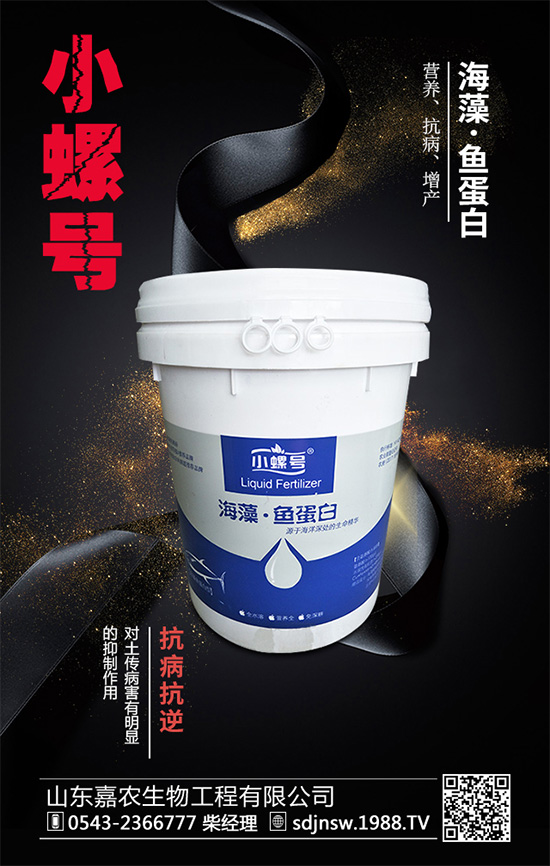 露地茄子該如何種植?茄子春季種植管理技術要點