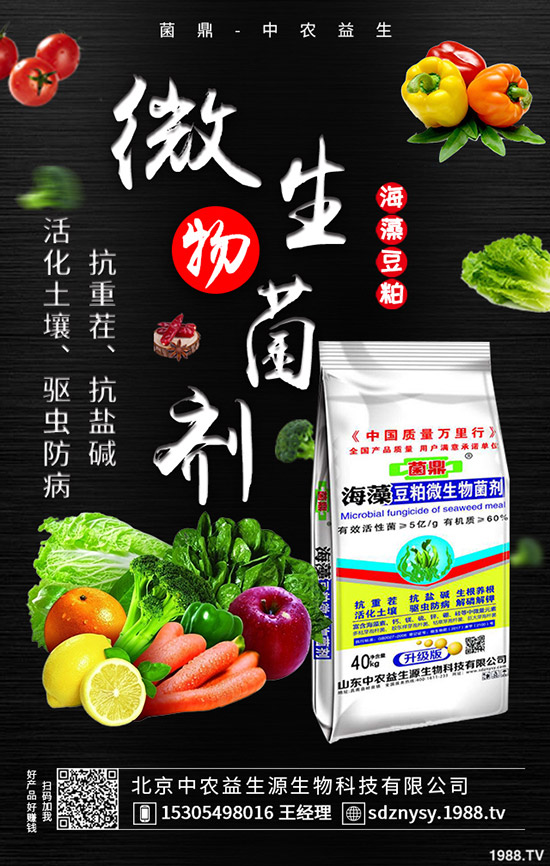     ���@ȫ���l(f��)�\�����������r��(w��n)�������¶��@�����߄�2020-3-28��