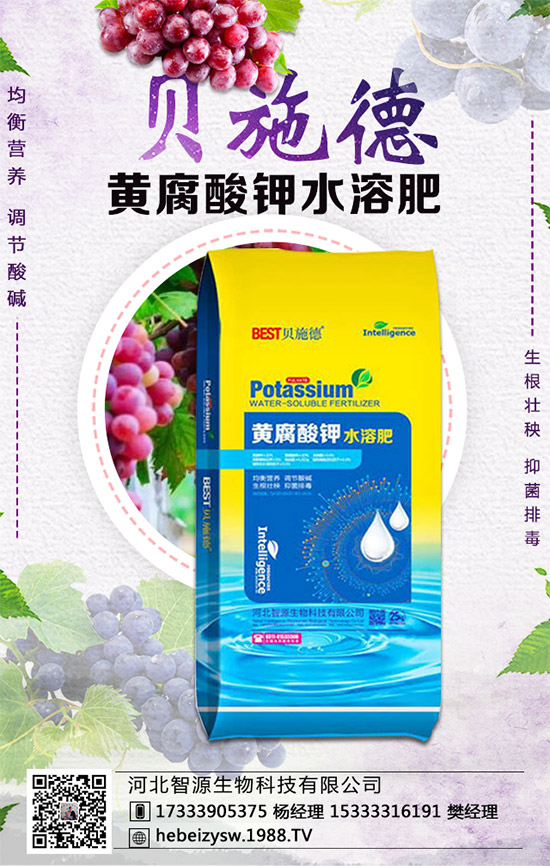 �۲˵ĠI�B(y��ng)�rֵ����Щ�������۲���ʲô��̎��