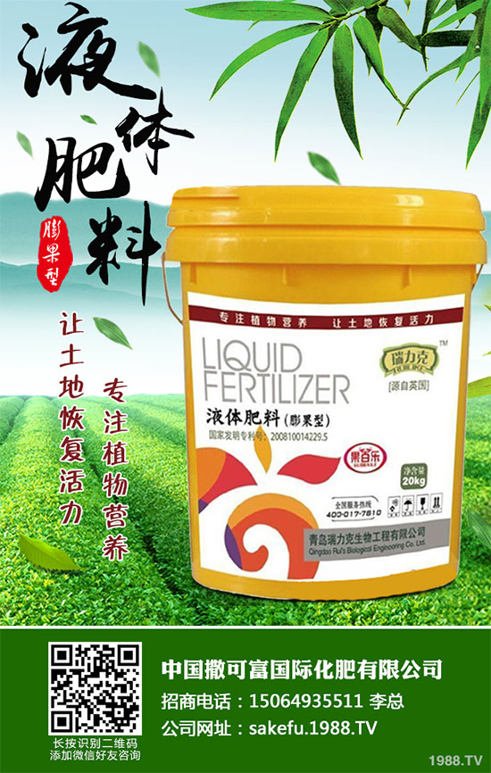 ������ΰ����r������2020�����°���ָ��