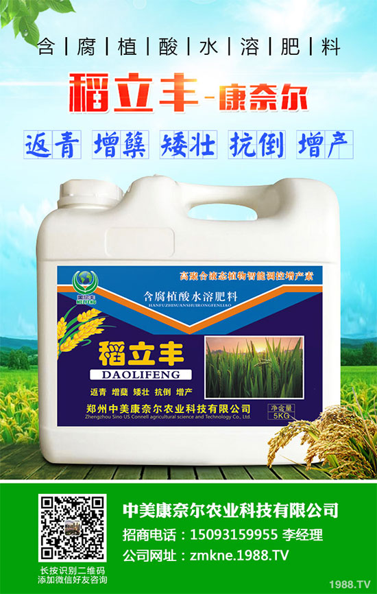 小麥四月份遇到“倒春寒”有多大影響？該如何補救？小麥四月份農(nóng)事指南