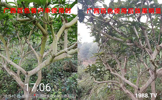 �V����ɫ�͑�δʹ�Õr��ʹ�ú�Ч�����@��