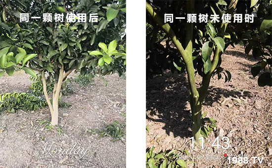 ͬһ�w��ʹ�ú��ͬһ�w��δʹ�Õr��