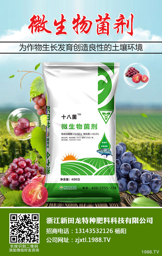 �Ϲ����Ҏ(gu��)�����Ϲϵ�ʩ�ʷ���