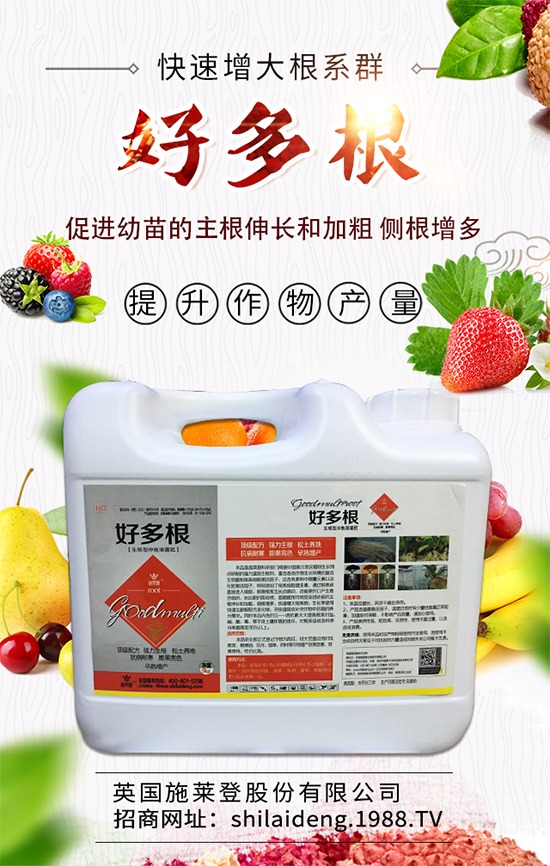 春季菠菜在什么時候種植好？菠菜種植技術(shù)要點有哪些？	