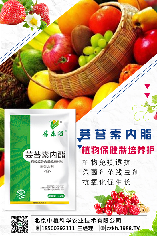 ���Ҫ��ô�Nֲ�����ˮ�ʹ���Ҫ�c��