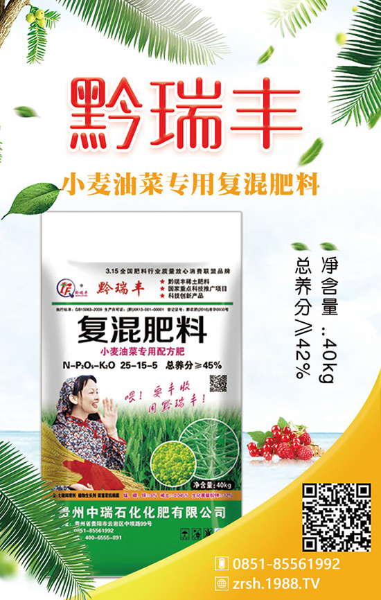 如何種植春季白菜？科學方法有哪些？