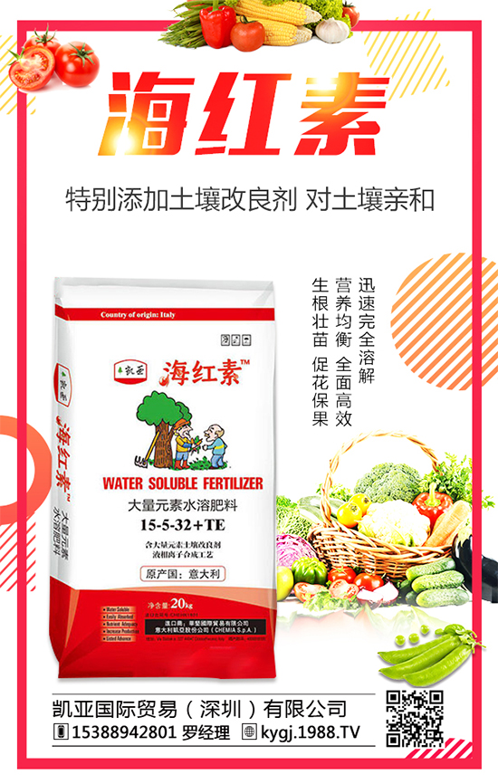 �����Nֲ�l(f��)չ�ĬF(xi��n)������������߮a(ch��n)�Nֲ���g(sh��)Ҫ�c(di��n)��