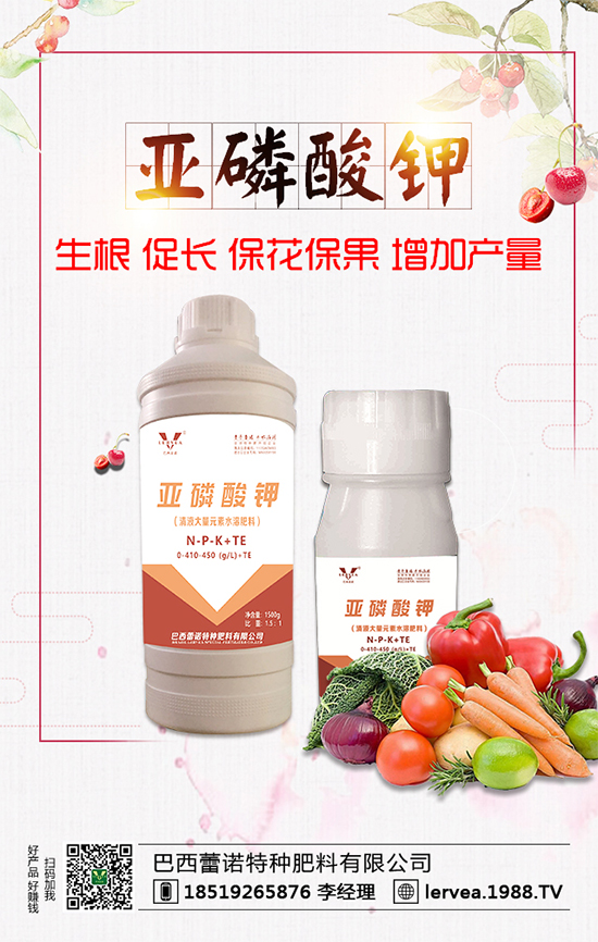 作物缺鉀有什么危害？鉀肥有什么作用？鉀肥種類選擇！