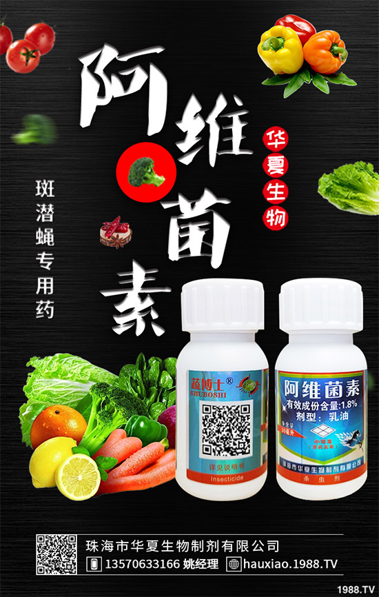 ���ך��x���r������