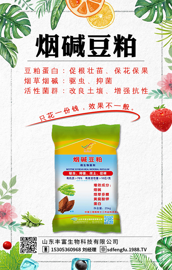 春紅薯什么時間種植？紅薯種植如何才能豐產(chǎn)呢？