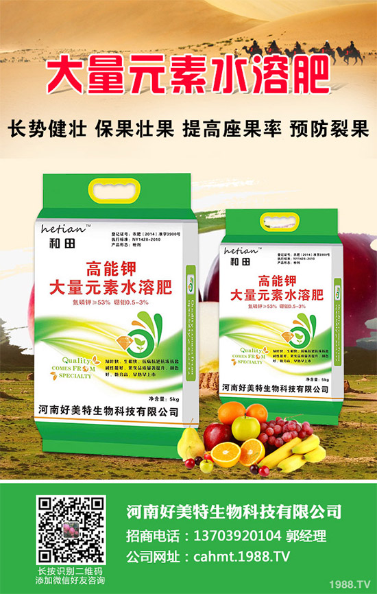 細(xì)香蔥如何種植才能高產(chǎn)？需要注意什么？這五個(gè)小技巧分享一下！