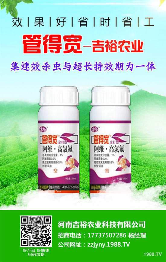 �����������x(ch��ng)�������������������g(sh��)����