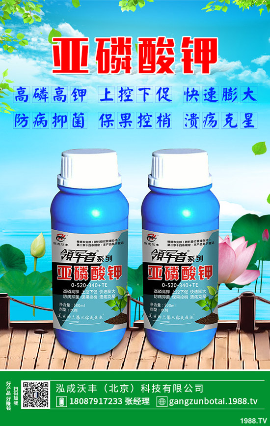 �S�Ϗ�����ʲôԭ�������S�Ϗ��ϸ���Ҫ�E��