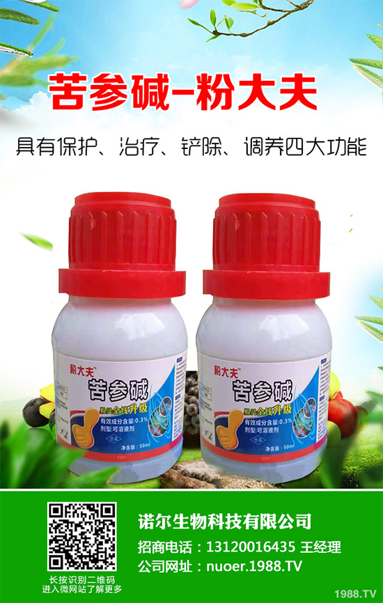 �{�����ӵă�(y��u)�������x���δ��ֲ���Ј��д�������