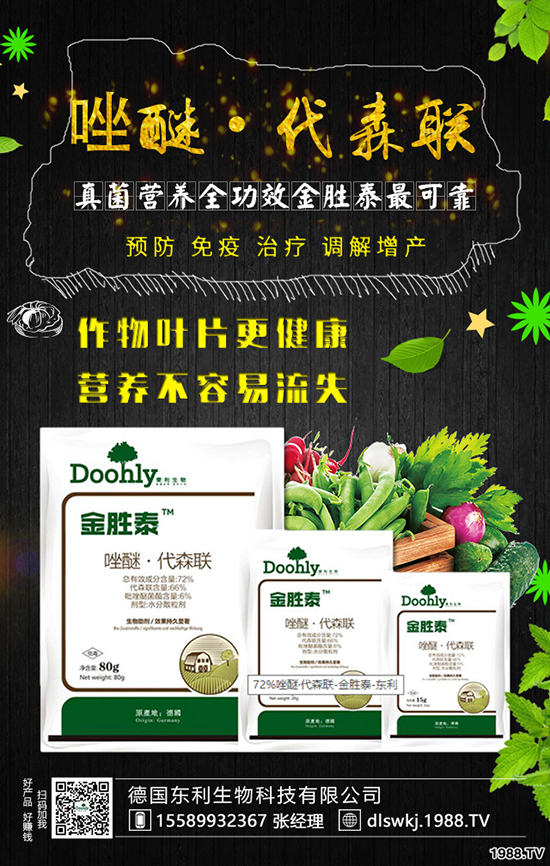 ���|������Ƽ����޹�˾2