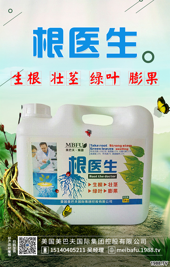 ������ʲô�r�򲥷N���������Ĳ��N�r�g��ע�����(xi��ng)