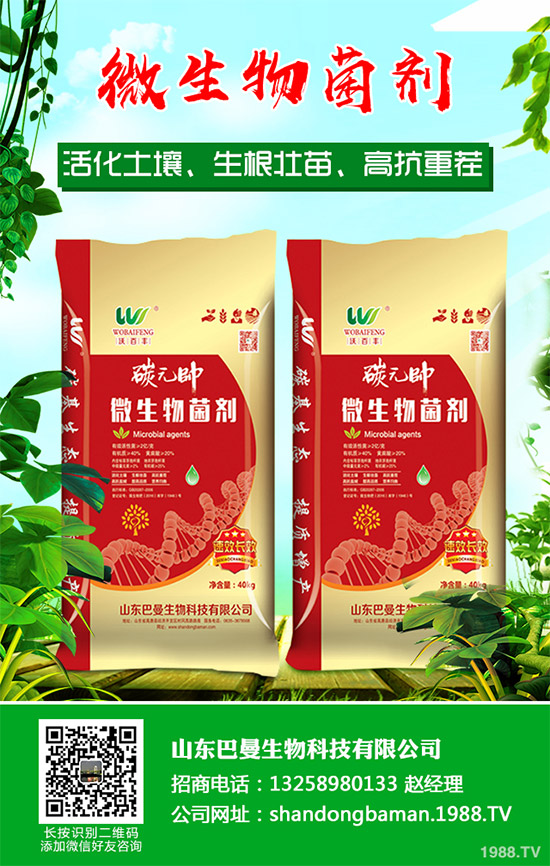 春花生播種后爛種是啥原因？該如何預(yù)防？農(nóng)民們必看的增產(chǎn)高產(chǎn)方案！