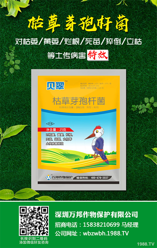 С����ù��ˎ������Ч����������׃����