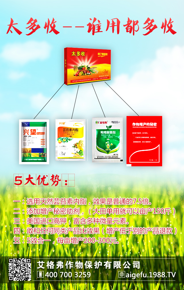 �������ﱣ�o���޹�˾4