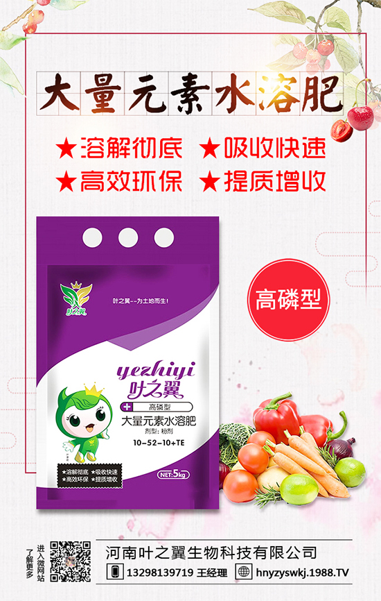 �������L(zh��ng)��(x��)������Щ�����ɵ����g����Ҫ�c(di��n)��