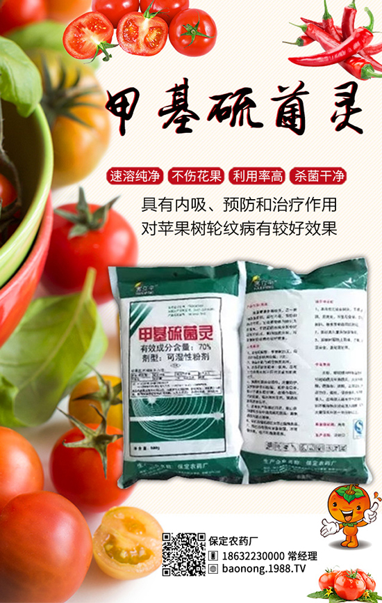 櫻桃西紅柿栽培技術(shù)，櫻桃西紅柿病蟲(chóng)害防治！