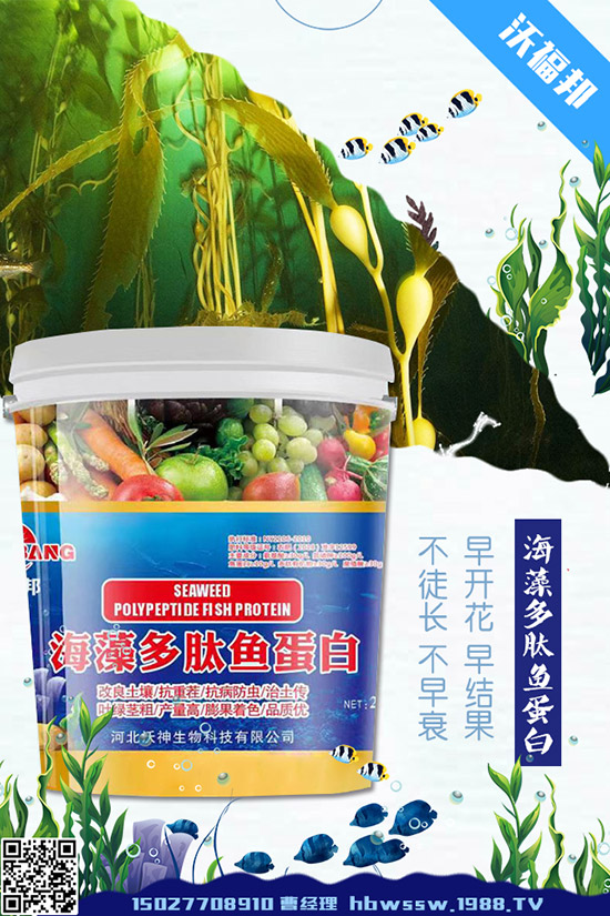 茄子種植需要注意哪些問題,茄子的水肥管理要點!