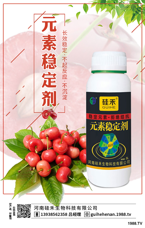 ��ˎԓ��ô�Nֲ����ˎ�Nֲ�İ˴��E��������(hu��)���