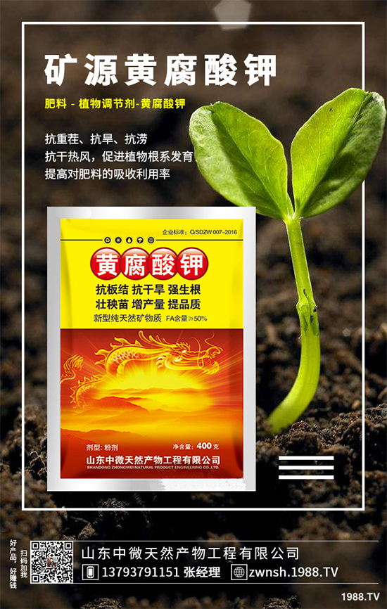 ������ԓ��η�ֳ�������ǵķ�ֳ���g(sh��)�������