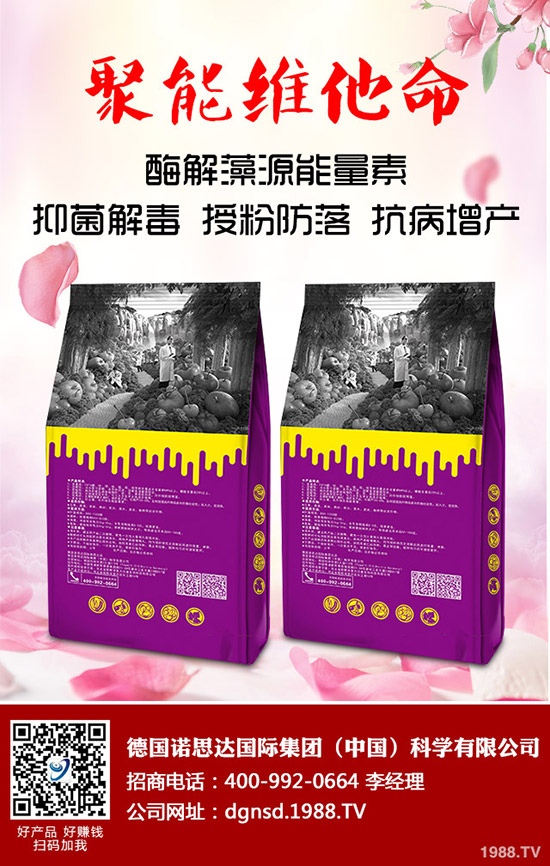 密本南瓜怎么種植？密本南瓜的栽培技術要點與方法！