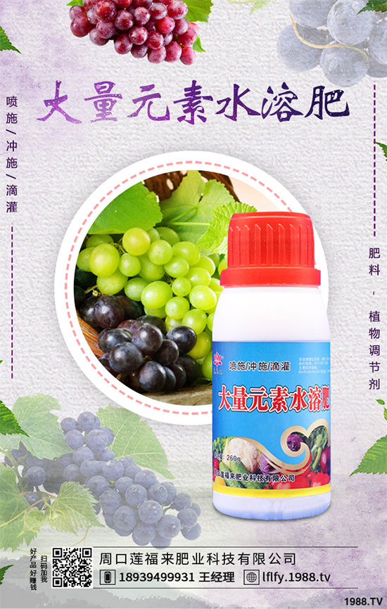 ���v�̶����Xһ�����Nֲǰ���������ˎ�ĵ�Ч�����