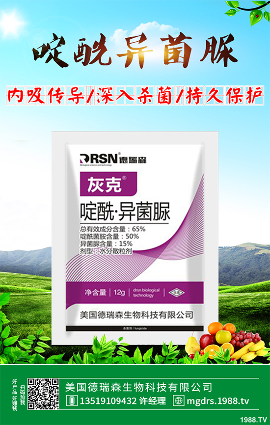 ���Ϛ������r��