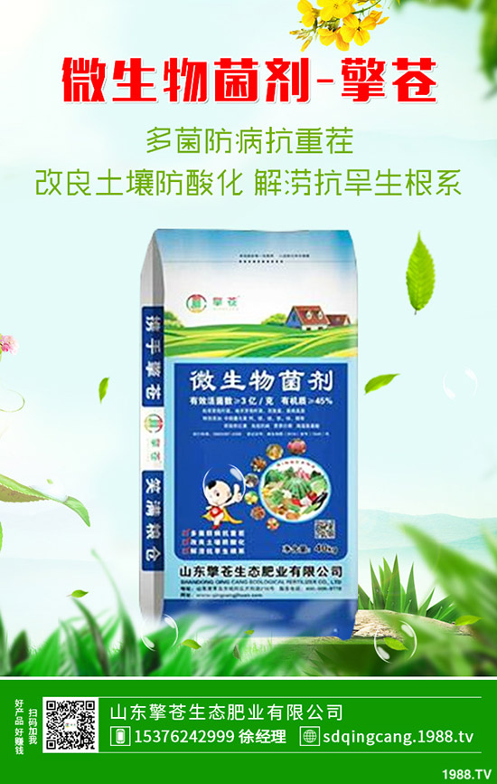     2020年4月3日復(fù)合肥市場行情保持穩(wěn)定態(tài)勢！最新后市預(yù)測！