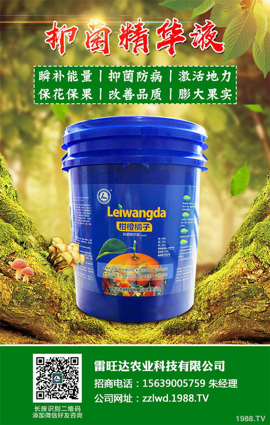 �~(y��)�Ȳ��Ј�(ch��ng)�r(ji��)������X(qi��n)һ����2020���~(y��)�ȲݵķNֲЧ�����