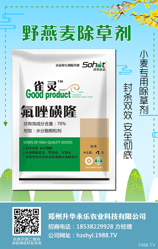 ɣ�@���݄��r��