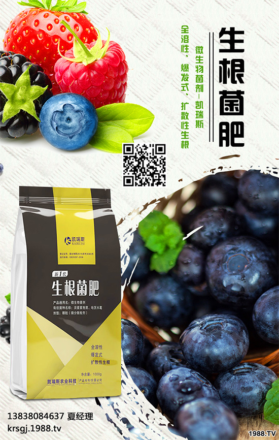     油茶屬茶科，常綠小喬木。茶油色清味香，營養(yǎng)豐富，耐貯藏，是優(yōu)質(zhì)食用油 ；也可作為潤滑油、防銹油用于工業(yè)。近年來我國各地油茶產(chǎn)區(qū)政府紛紛鼓勵種植油茶。那么，油茶種植到底有哪些優(yōu)勢呢？