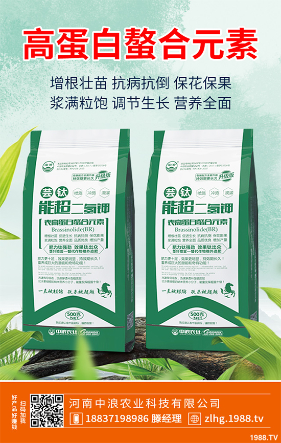 山楂什么時(shí)候種植?山楂樹高產(chǎn)種植方案